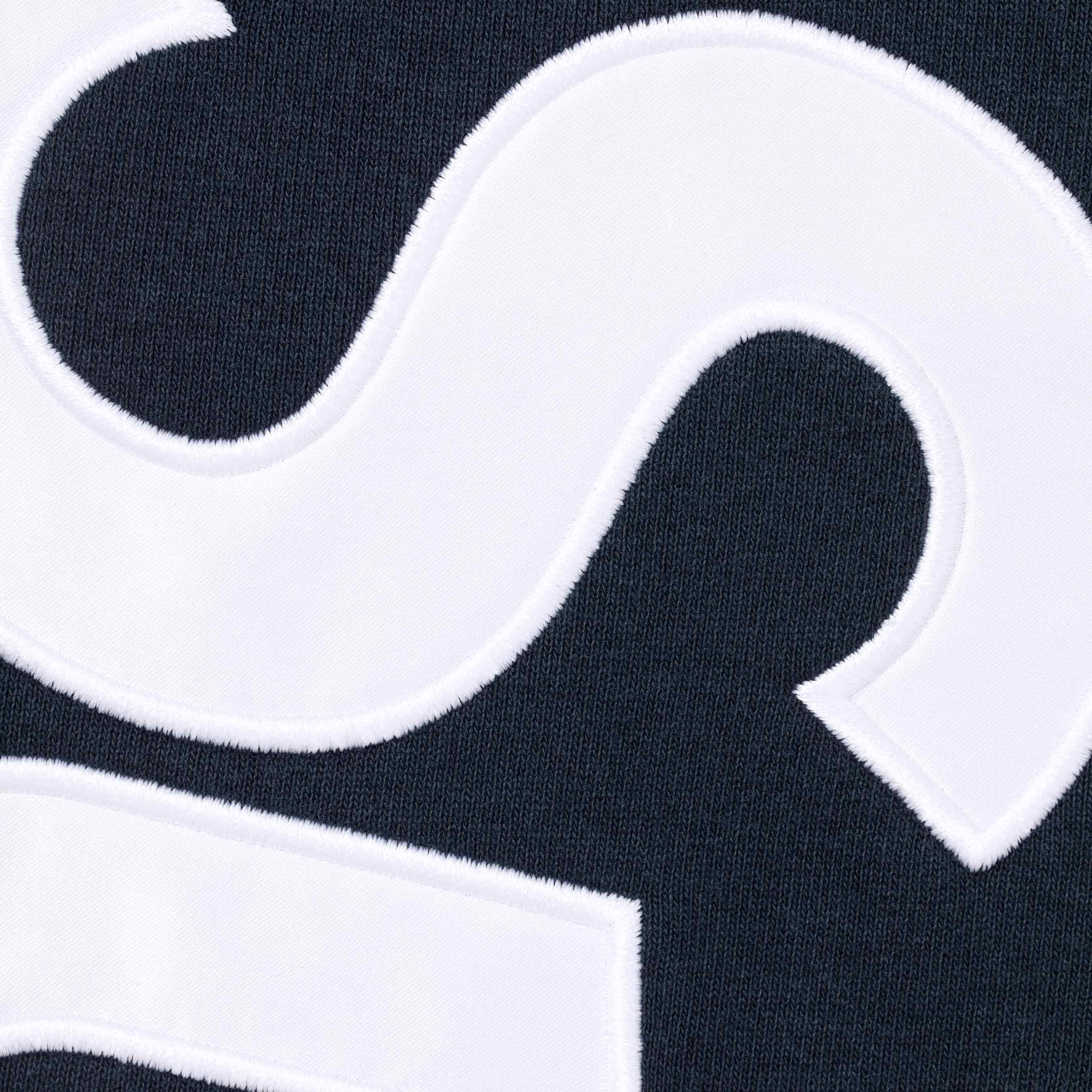 Satin Appliqué Sweatpant view 11